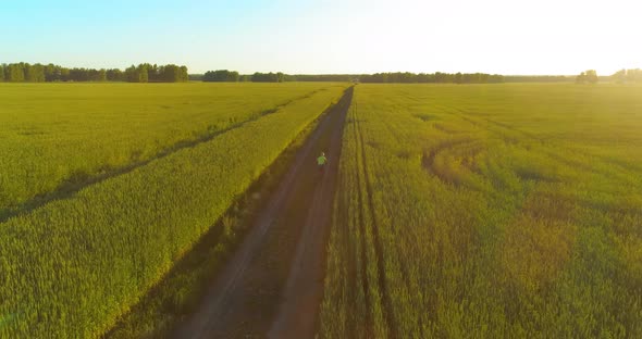 Aerial View on Young Boy, That Rides a Bicycle Thru a Wheat Grass Field on the Old Rural Road