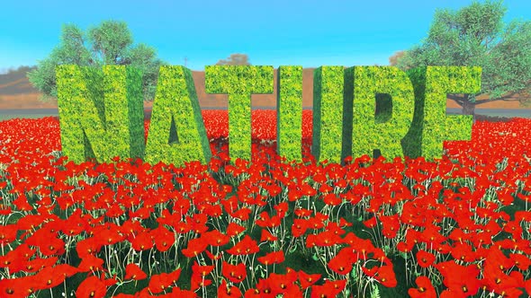 Flying Over a Poppy Field