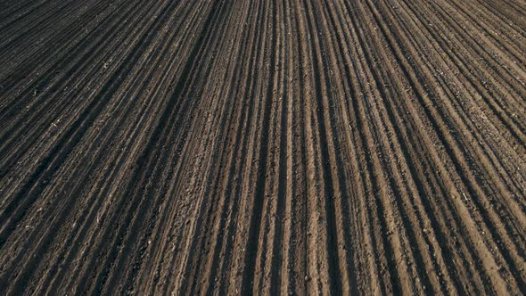 the Drone's Flight Over the Plowed Agricultural Land