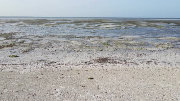 Low Tide in the Ocean Near the Coast of Zanzibar Tanzania Slow Motion