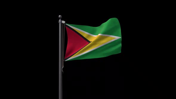 Guyana Flag On Flagpole With Alpha Channel