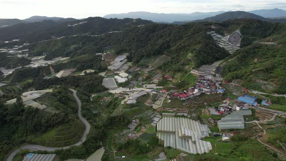 Cameron Highlands, Pahang Malaysia