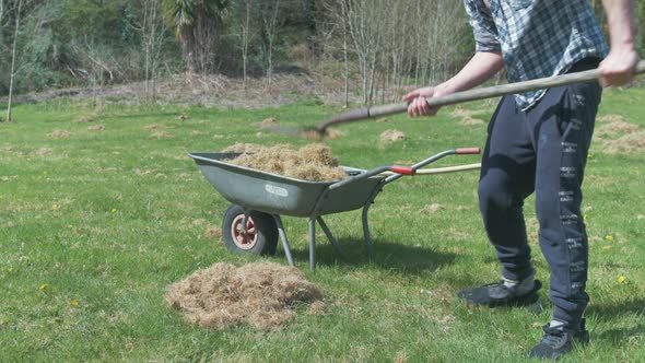Young man using pitchfork filling wheelbarrow with dry grass MID SHOT