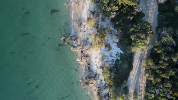 4wd track next to a pristine lake leading into a coastal vegetated bushland. High drone view looking