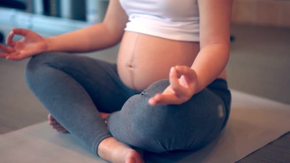 Active Pregnant Woman Exercise in Fitness Center