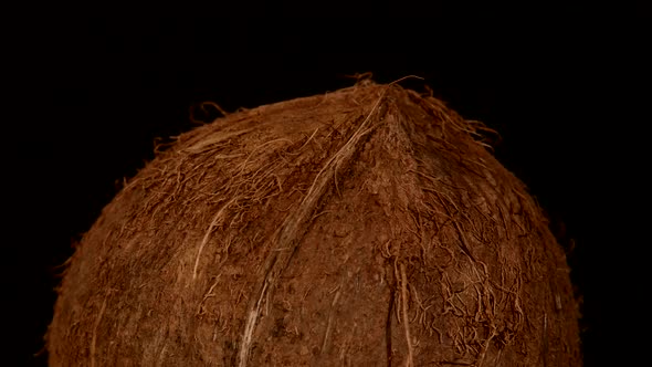 Top of Coconut Isolated on Black, Rotation