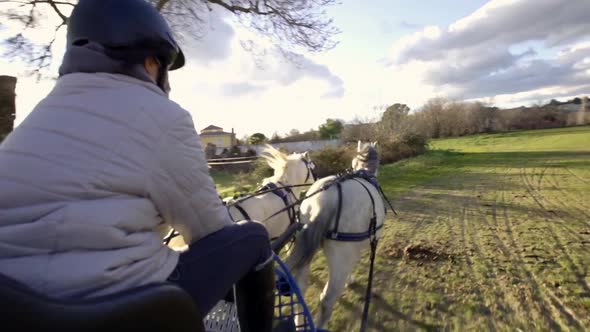 Woman steering horse cart on field