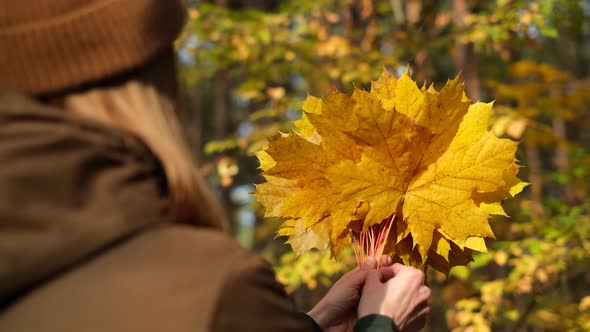 Female with yellow maple leaves in hands enjoying nature