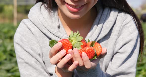 Woman holding harvest of strawberry field