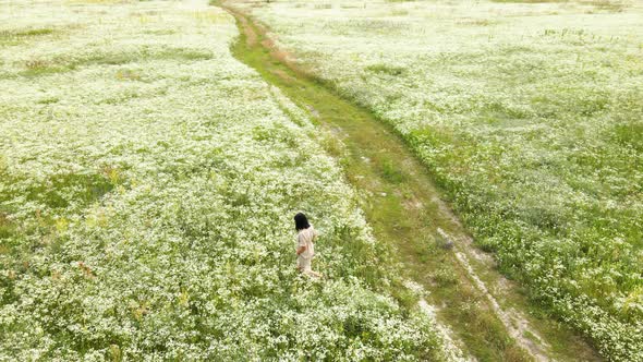 Drone Aerial View of Woman in Dress Walking in Flower Blooming Meadow