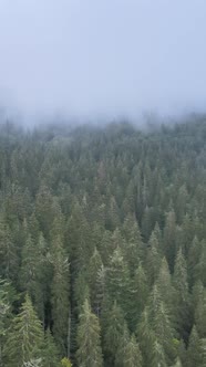 Vertical Video of Fog in the Mountains