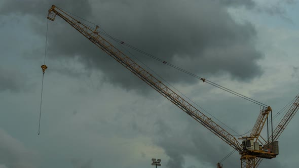 Crane With Rain Clouds alt