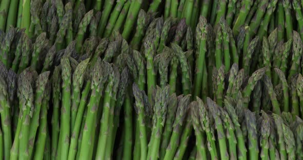 Asparagus,also known as  garden asparagus A bundle of cultivated asparagus