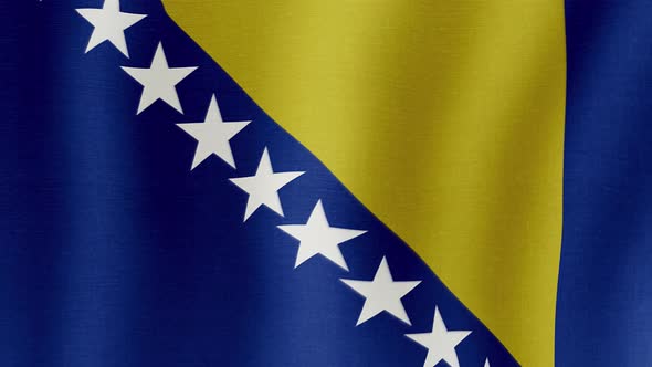 The national flag of Bosnia and Herzegovina