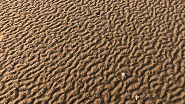 Patterns in the sand made from rippling water, waves, and seagulls 4K 30FPS