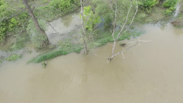 Trees under water after heavy raining and flooding 4K drone video
