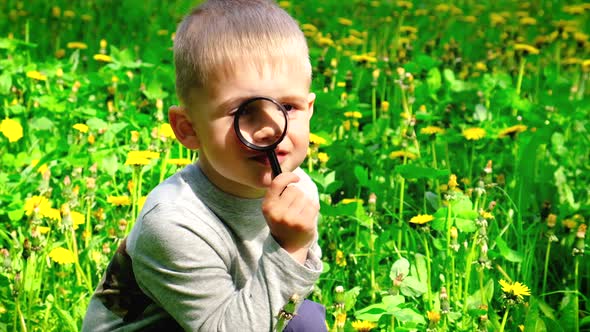 The Child Looks at the Flowers Through a Magnifying Glass