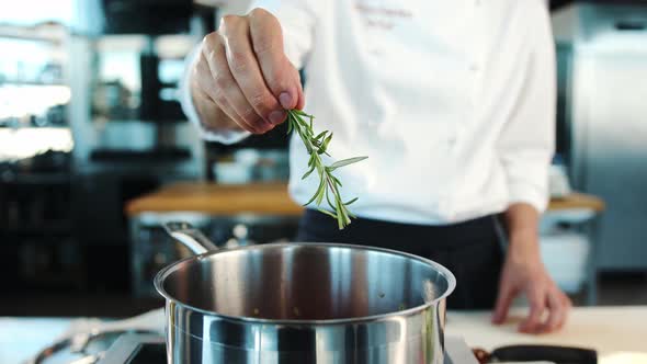 Close-up: The chef adds thyme to the pot. The process of preparing food in a restaurant.