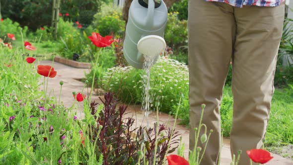 Animation of african american senior man gardening, watering flowers