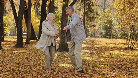 Positive Elderly Family Dancing Funny Dance in Autumn Park Carefree Old People Have Fun Spend Time