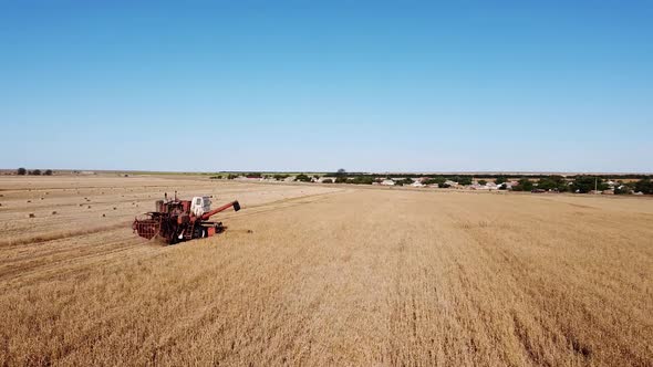 Combine Harvester Removes Wheat in the Field at Sunset View From the Height of the Equipment