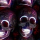 Engraved metal skulls - VideoHive Item for Sale