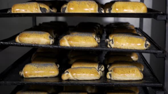 Loaf of Bread on the Production Line in the Bakery. Baked Loaf of Bread in the Bakery, Just Out of