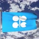 OPEC Flag Waving - VideoHive Item for Sale