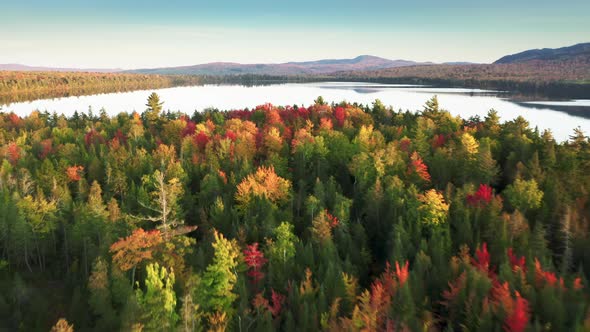 Epic Drone Flight Above Scenic Lake with Still Water Surface Fall Landscape