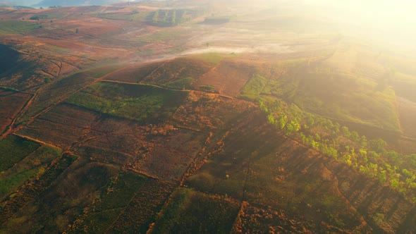 4K : Aerial view from a drone over a rural field at sunrise in Thailand.