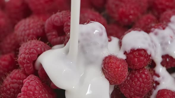 Pouring Juicy Fresh Raspberries Into Cream or Yoghurt