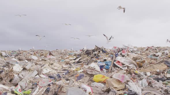 Rubbish piled on a landfill full of trash