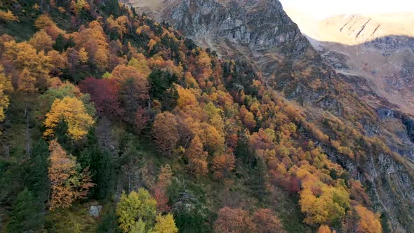 Colorful forest in the fall season at Lac d'Espingo lake in Haute-Garonne, Pyrénées mountains, Franc