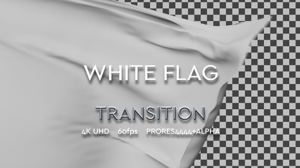 White Flag transition | UHD | 60fps