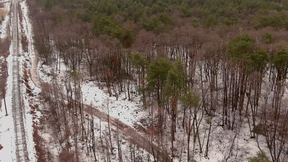 Snowy Forest Top Down View From Above