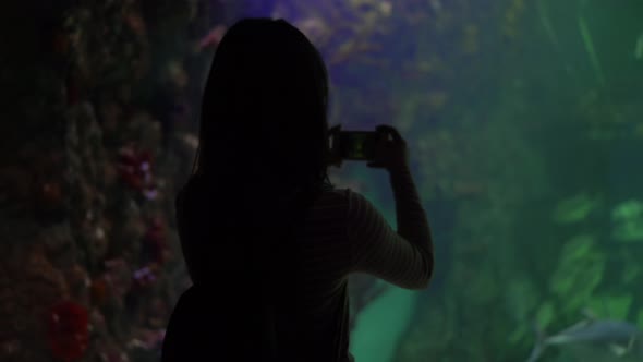 A Young Woman in the Aquarium Takes Pictures of Marine Life on the Phone