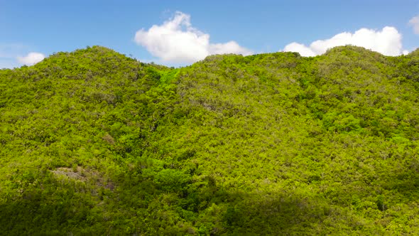 Hills and Mountains with Tropical Vegetation