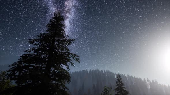 Milky Way Stars with Moonlight alt