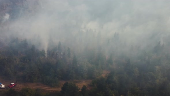 Fire in the forest aerial view. Cinematic aerial shot fire in the forest.