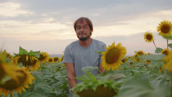 Man in the Field with Sunflowers