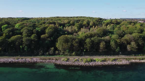 Drone Flight Over Sea By Lush Forest