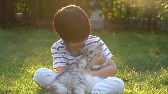 Cute Asian Child Playing With Persian Cat In The Park Outdoor 