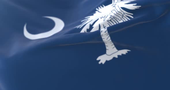 Flag of American State of South Carolina