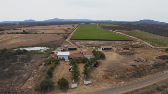 Aerial view of a large vineyard plantation in rural Brazil. Wide shot, pull back.