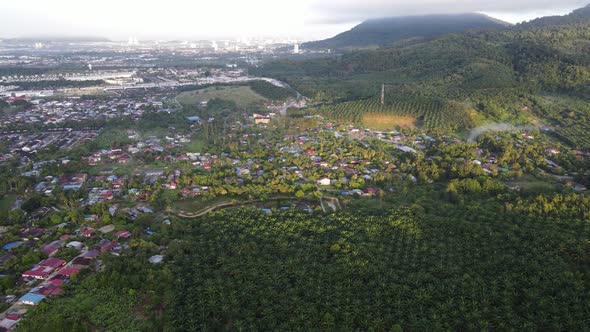 Aerial view look down village near oil palm plantation