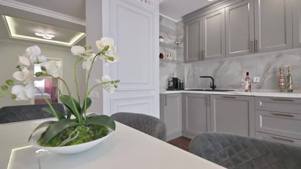 Grey and White Luxury Kitchen in Modern Style