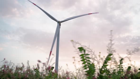 In a Beautiful Field with Pink Flowers Work Windmills