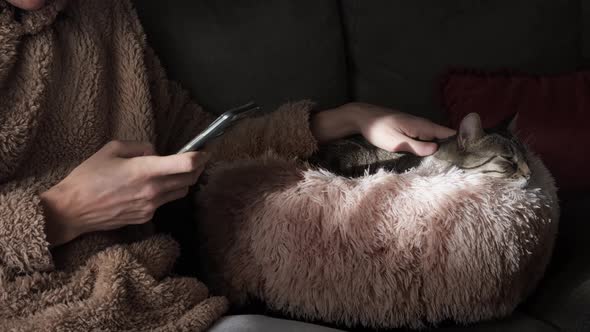 Man using phone near cat.