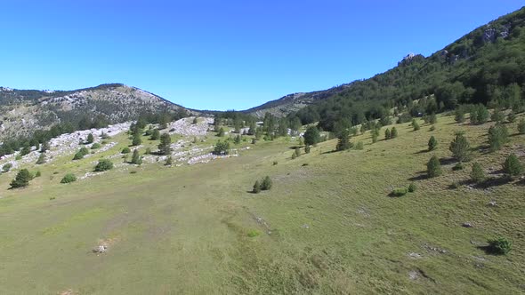 Forested highland of Dinara mountain