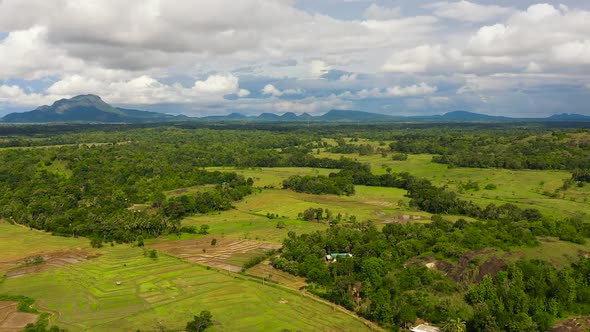 Mountain Valley with Farmland alt